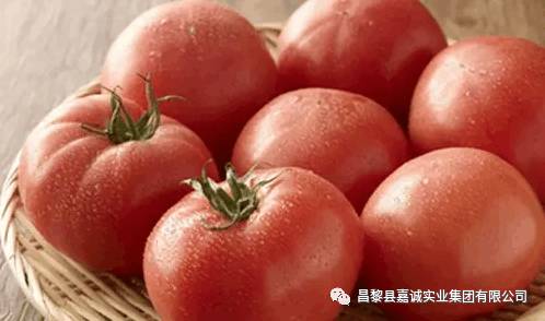 西红柿最常见错误吃法及“搭配”四种菜超营养！